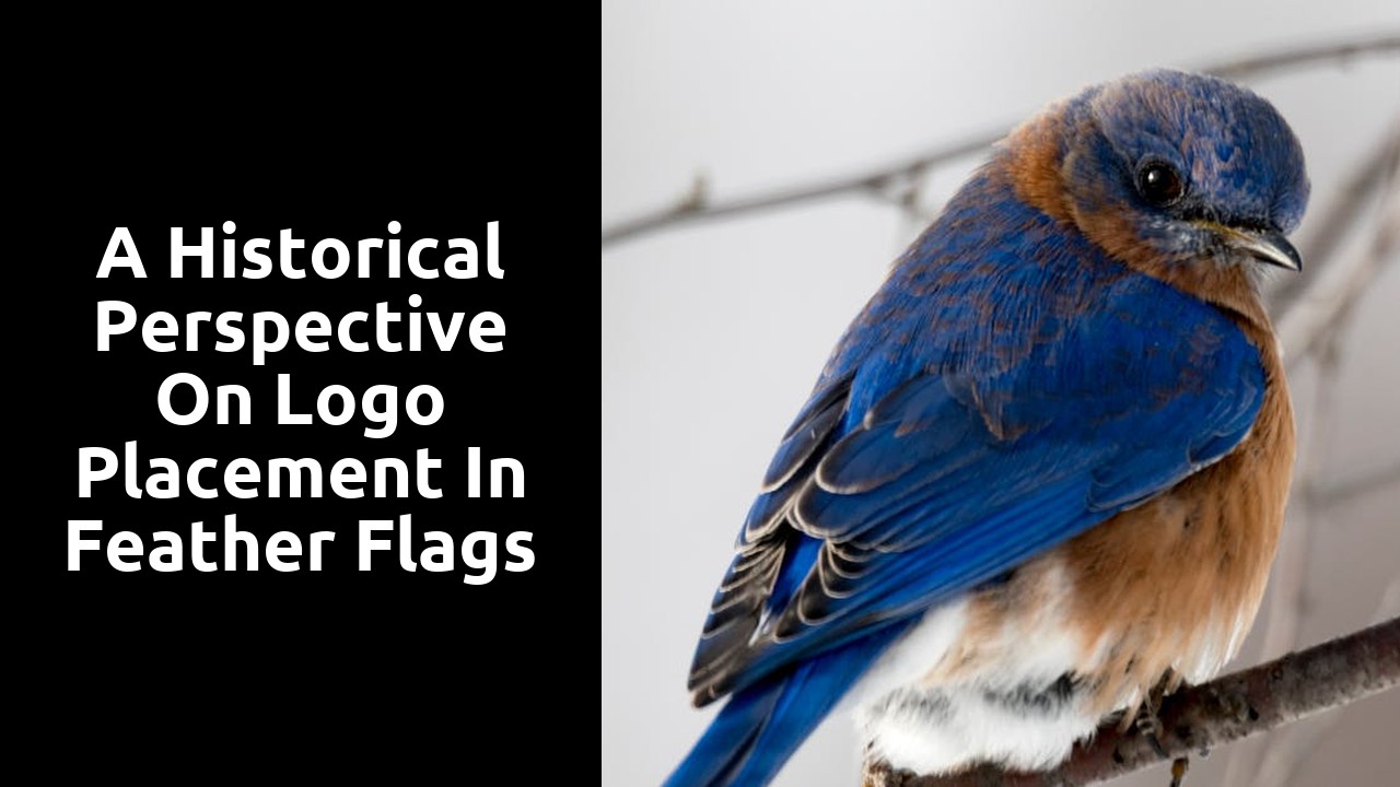 A Historical Perspective on Logo Placement in Feather Flags