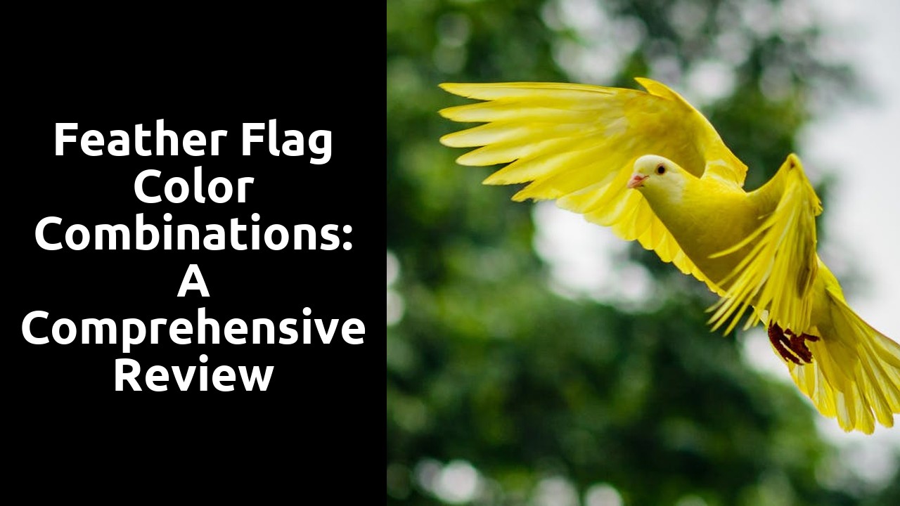 Feather Flag Color Combinations: A Comprehensive Review