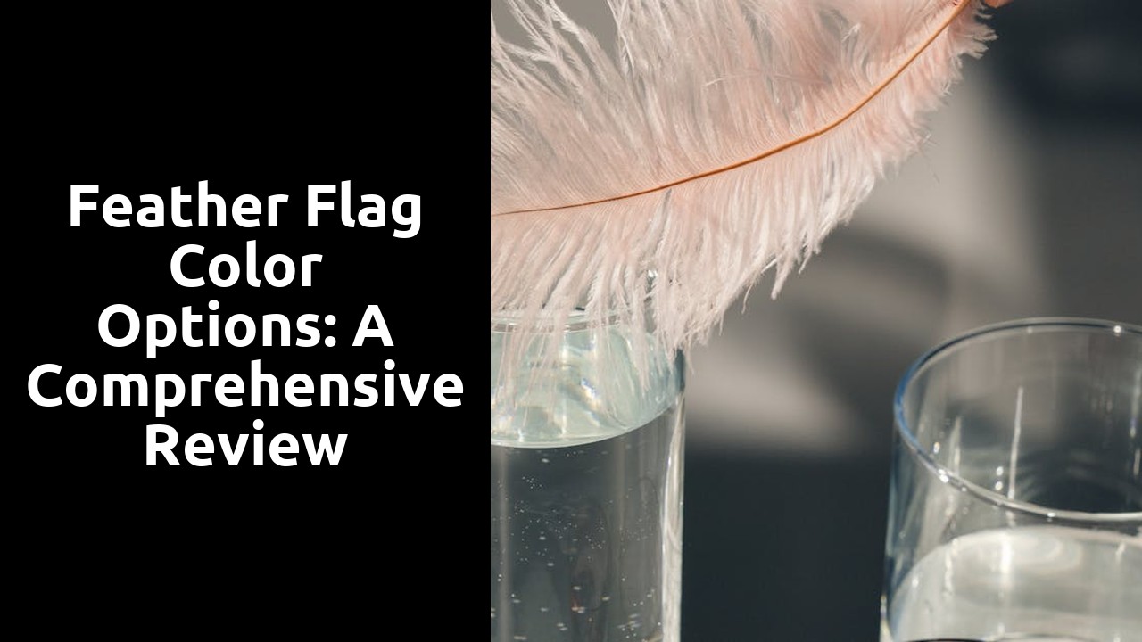 Feather Flag Color Options: A Comprehensive Review