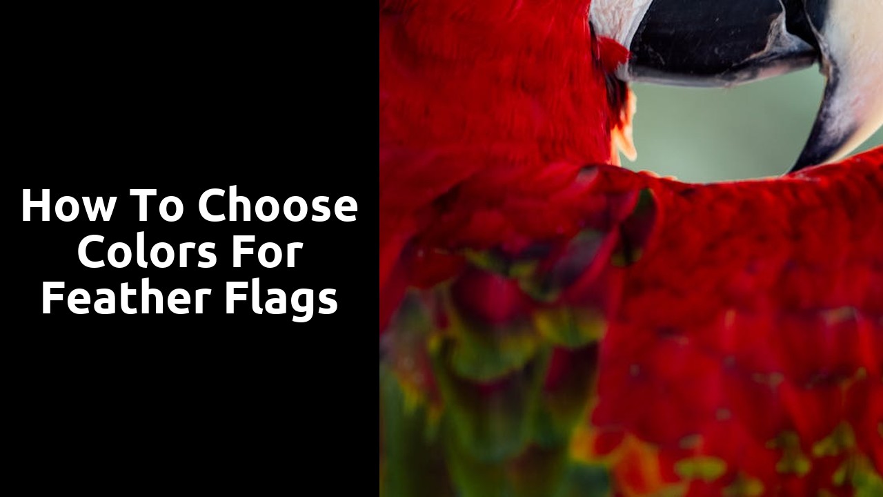 How to Choose Colors for Feather Flags