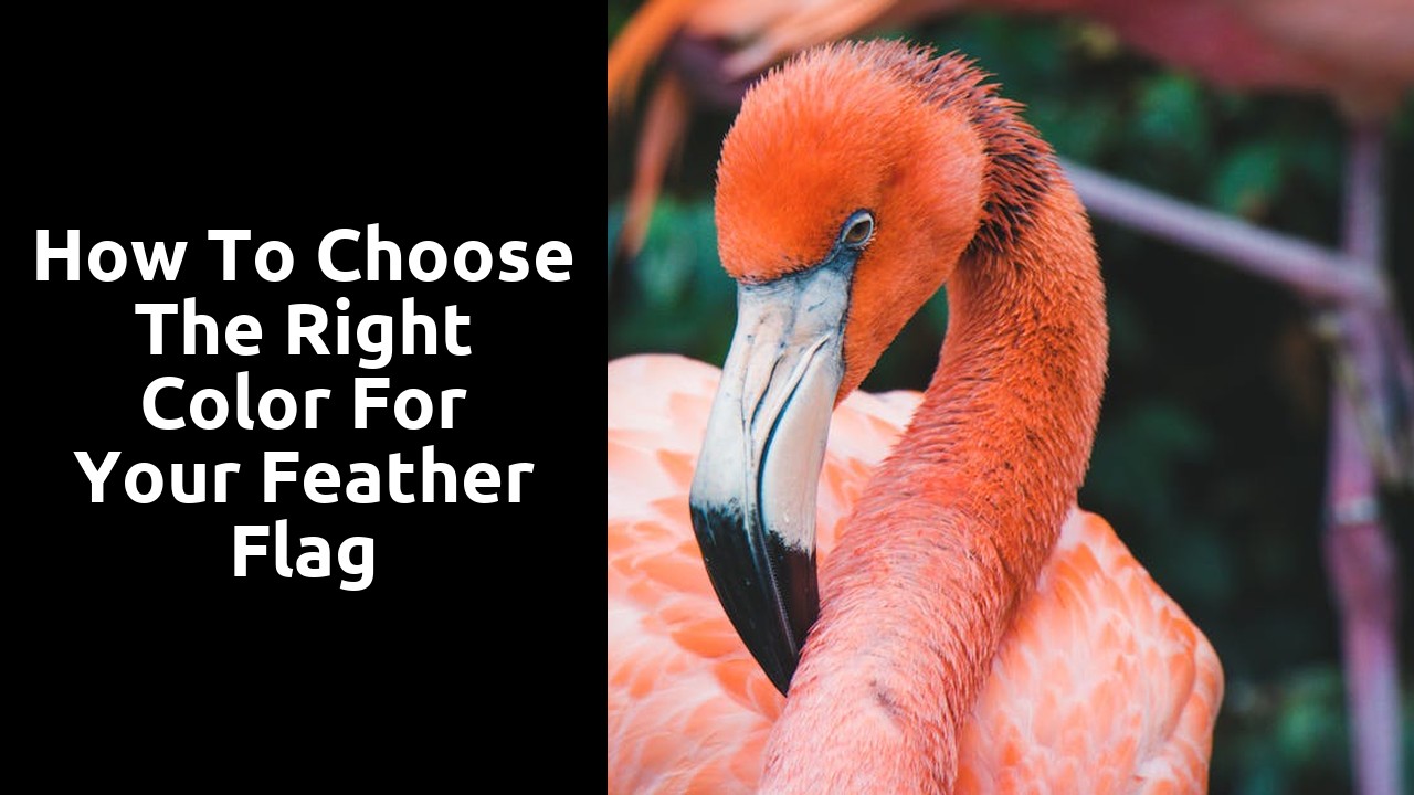 How to Choose the Right Color for Your Feather Flag