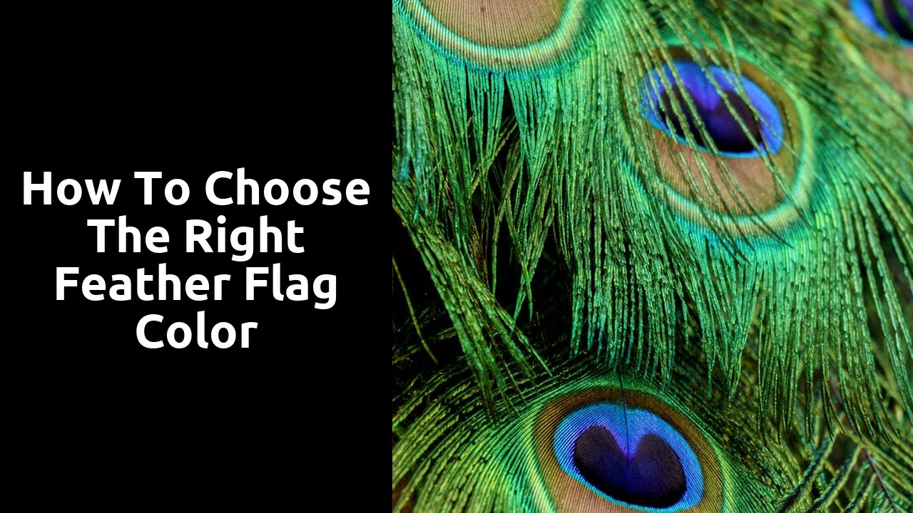 How to Choose the Right Feather Flag Color