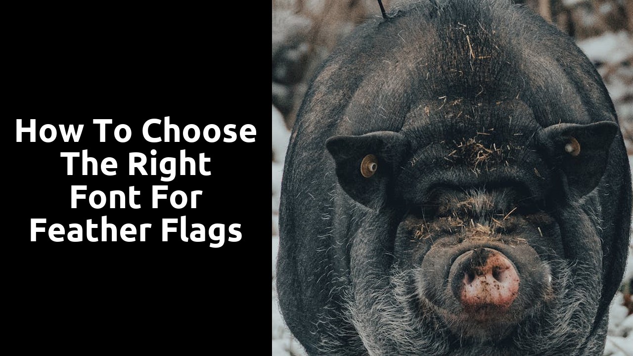 How to Choose the Right Font for Feather Flags