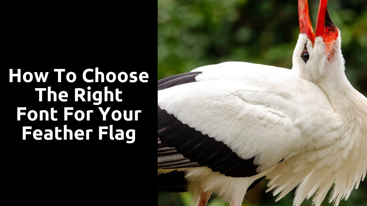 How to Choose the Right Font for Your Feather Flag