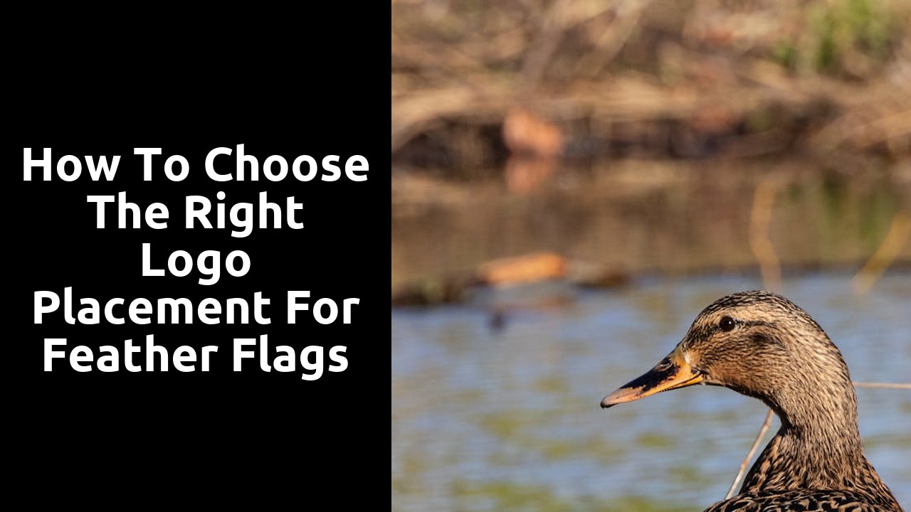 How to Choose the Right Logo Placement for Feather Flags