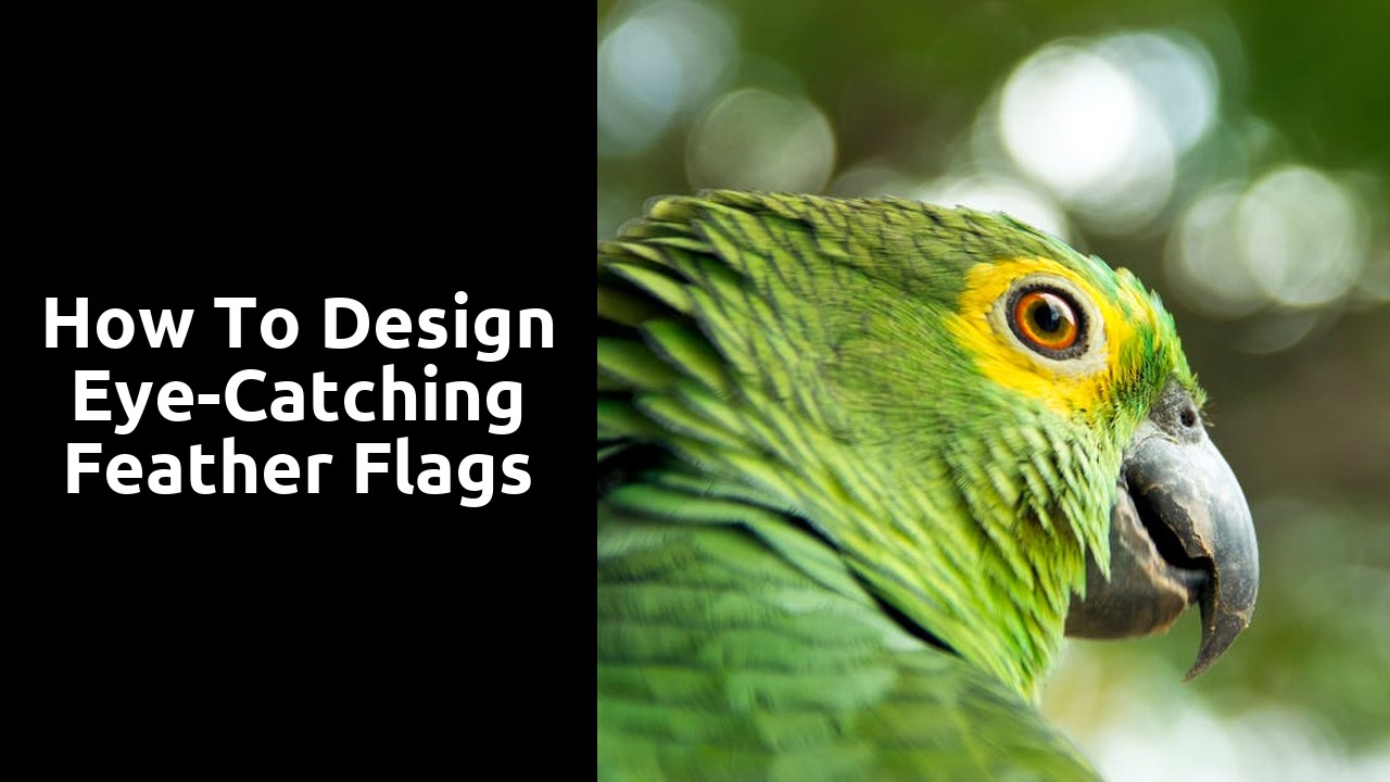 How to Design Eye-Catching Feather Flags