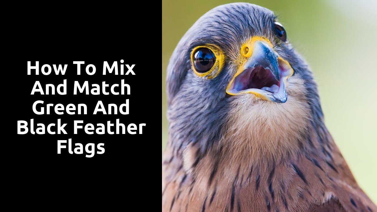 How to Mix and Match Green and Black Feather Flags