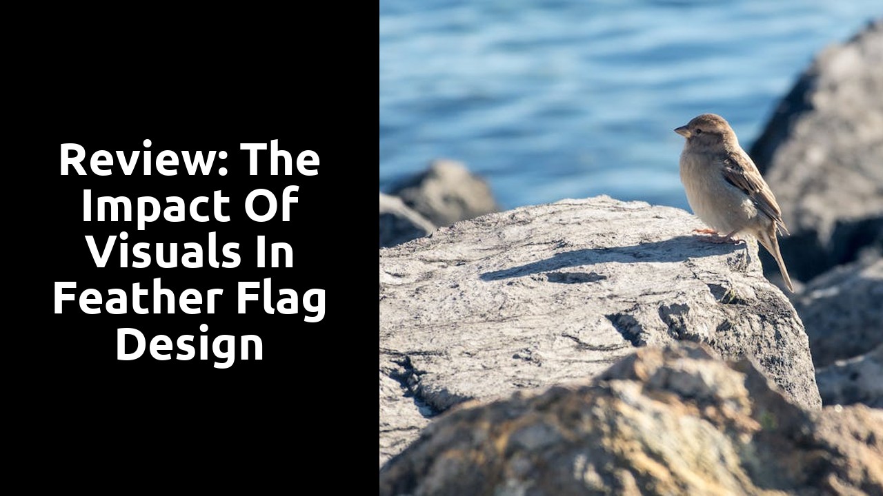 Review: The Impact of Visuals in Feather Flag Design