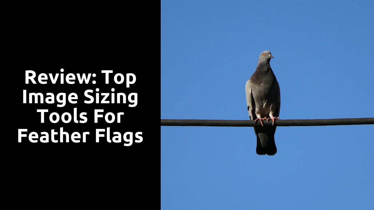 Review: Top Image Sizing Tools for Feather Flags