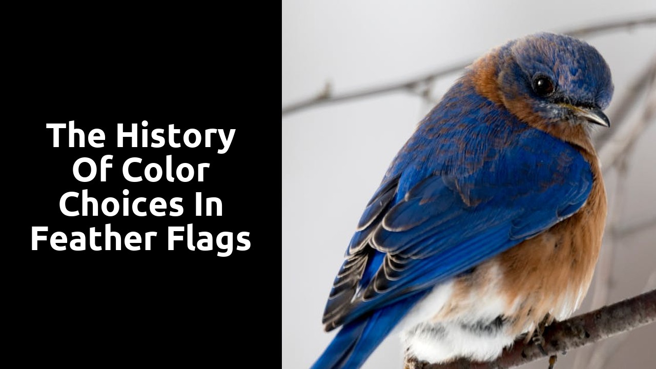 The History of Color Choices in Feather Flags