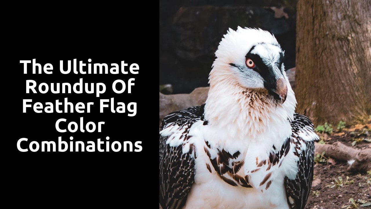 The Ultimate Roundup of Feather Flag Color Combinations