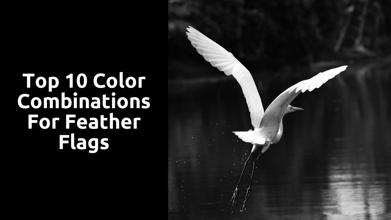 Top 10 Color Combinations for Feather Flags