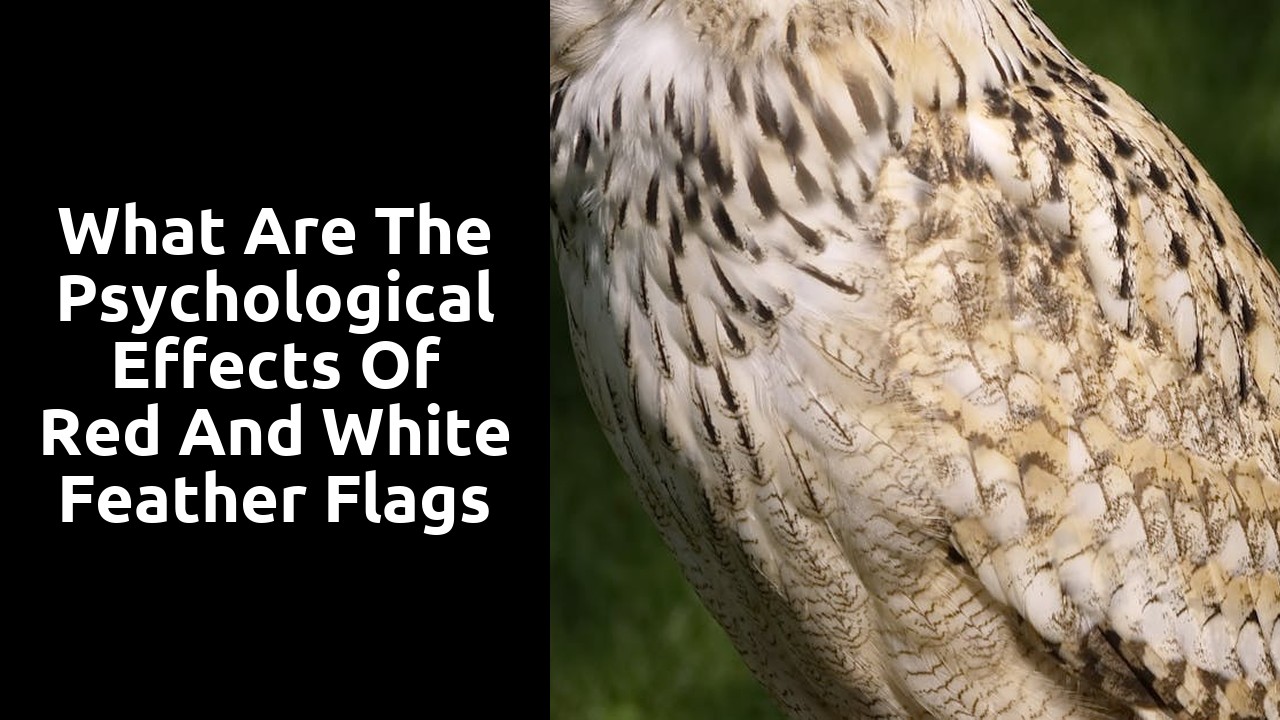 What Are the Psychological Effects of Red and White Feather Flags