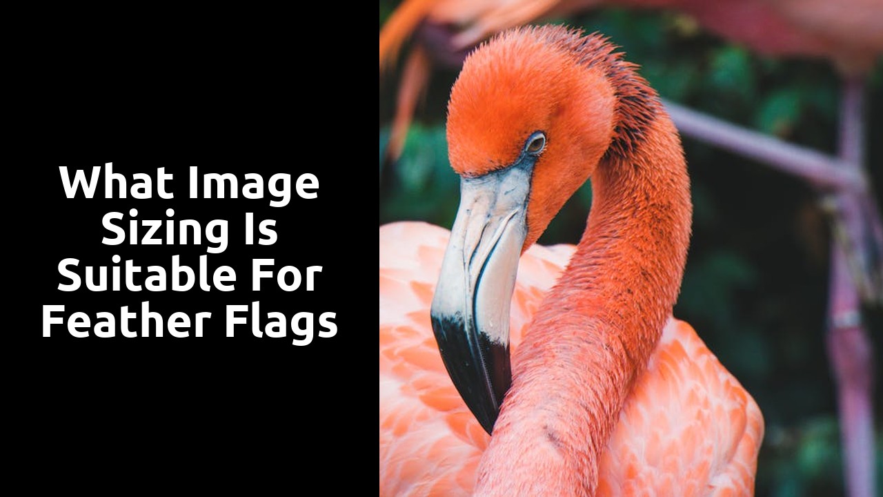 What Image Sizing is Suitable for Feather Flags