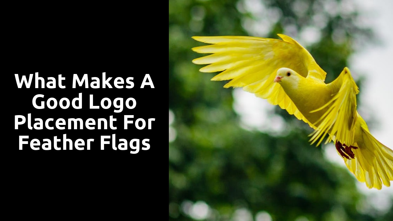 What Makes a Good Logo Placement for Feather Flags