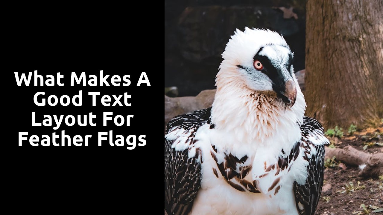 What Makes a Good Text Layout for Feather Flags