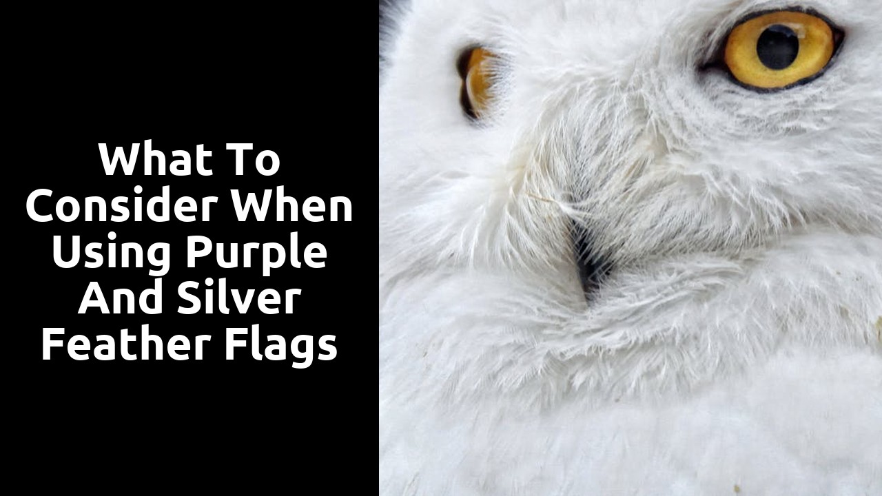 What to Consider When Using Purple and Silver Feather Flags