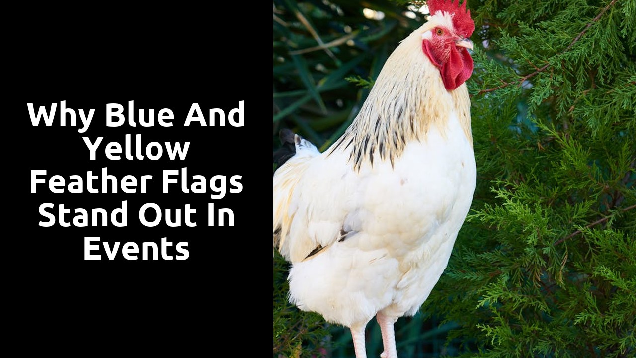 Why Blue and Yellow Feather Flags Stand Out in Events