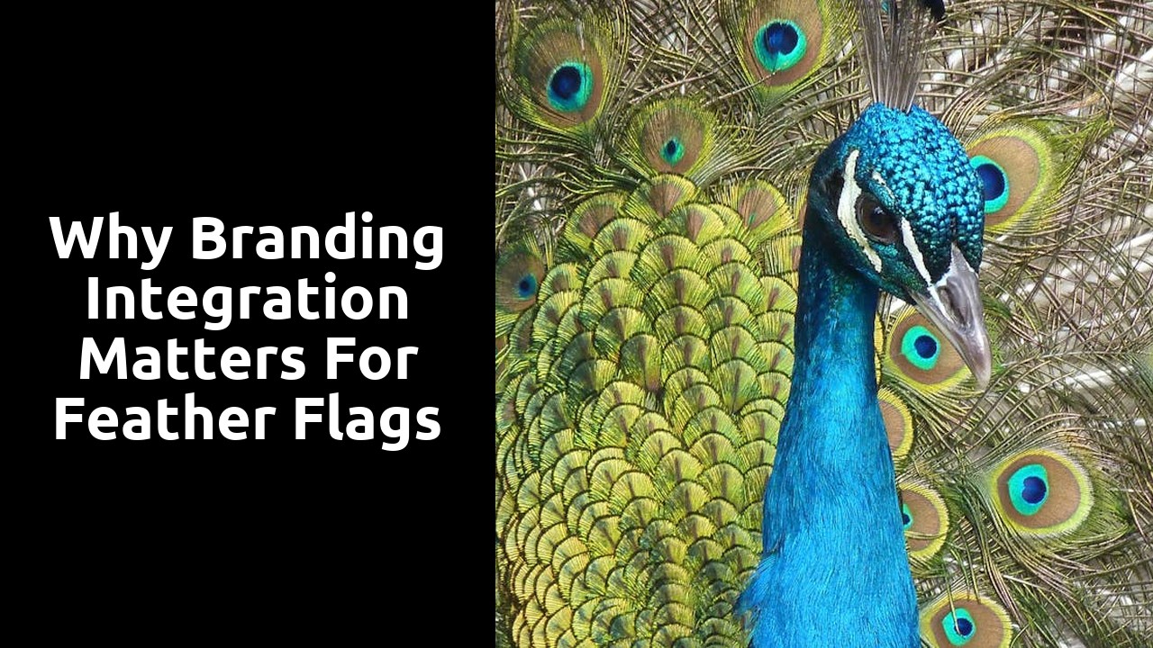 Why Branding Integration Matters for Feather Flags