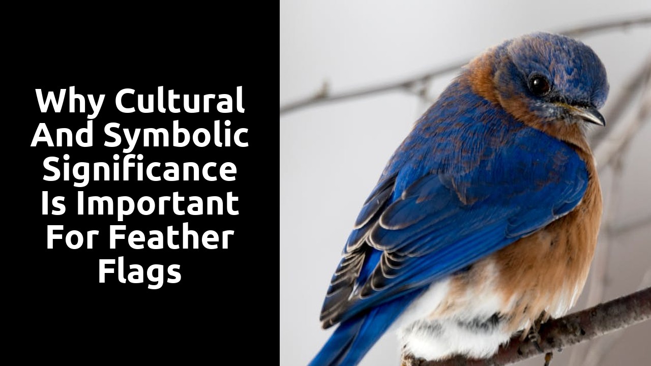 Why Cultural and Symbolic Significance is Important for Feather Flags