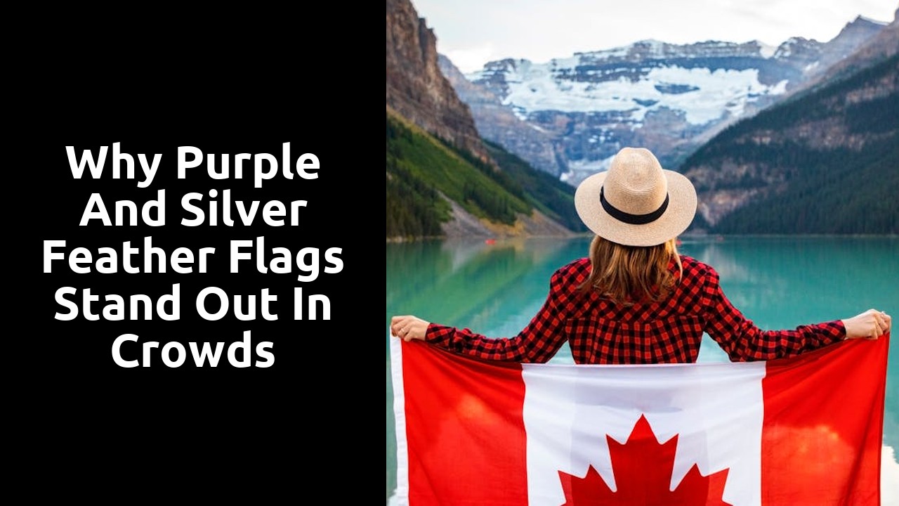 Why Purple and Silver Feather Flags Stand Out in Crowds