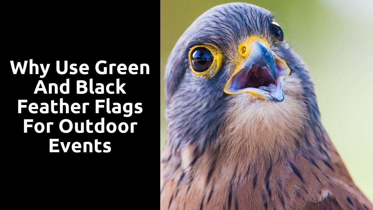 Why Use Green and Black Feather Flags for Outdoor Events